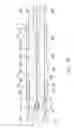 Fig. 29 - Indwelling needle assembly