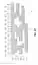 Fig. 16 - Medication injector apparatus with drive assembly that facilitates reset
