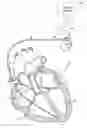 Fig. 01 - SYSTEMS AND METHODS TO DETECT IMPLANTABLE MEDICAL DEVICE CONFIGUARATION CHANGES AFFECTING MRI CONDITIONAL SAFETY
