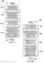 Fig. 25 - Communication protocol system and method for a distributed-architecture heating, ventilation and air conditioning network