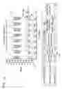 Fig. 19 - Multiple compartment dosing model