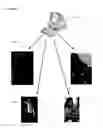 Fig. 13 - BIOPHYSICAL VIRTUAL MODEL DATABASE AND APPLICATIONS