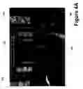 Fig. 15 - Computing Environment Transaction System to Transact Computing Environment Circumventions
