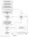 Fig. 24 - Multi-tier pricing of individual products based on volume discounts