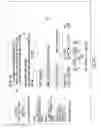Fig. 14 - Method for Completing and Storing an Electronic Rental Agreement