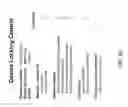 Fig. 43 - System and method for customer authentication of an item