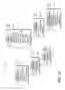 Fig. 04 - MANAGING AND MEMORIALIZING DESIGN REQUIREMENTS OF A BUILDING PROJECT