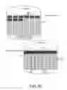 Fig. 10 - Combined join