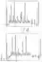 Fig. 10 - SEARCH SYSTEM