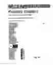 Fig. 10 - Determining Alternative Textual Identifiers Such as For Registered Domain Names