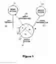 Fig. 02 - Partially replicated, locally searched peer to peer file sharing system