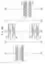 Fig. 10 - Multicast distribution system and method