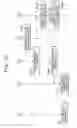 Fig. 11 - Multicast distribution system and method
