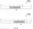 Fig. 04 - Managing misaligned DMA addresses