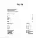 Fig. 11 - Security audit system and method