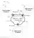 Fig. 01 - Methods and apparatus for enabling unified (internet protocol version) IPV6/IPV4 routing services over IPv4-only interfaces