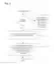 Fig. 04 - Method and device for safeguarding of a document with inserted signature image and biometric data in a computer system