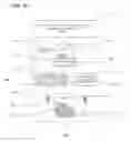 Fig. 06 - Method and device for safeguarding of a document with inserted signature image and biometric data in a computer system