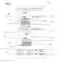 Fig. 08 - Method and device for safeguarding of a document with inserted signature image and biometric data in a computer system