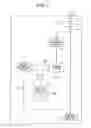 Fig. 02 - INFORMATION PROCESSING DEVICE, PROGRAM AND RECORDING MEDIUM