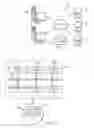 Fig. 02 - Preventing not found error (404) responses on dynamically loaded missing images