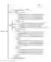 Fig. 05 - Dynamic Generation of Data Entry Metadata
