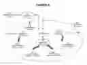 Fig. 08 - SYSTEM AND METHOD FOR SOCIAL NETWORKING IN A VIRTUAL SPACE
