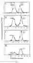 Fig. 04 - Kernel productivity of plants through the modulation of glutamine synthetase activity