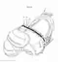 Fig. 05 - Protective shoulder pads with release mechanisms