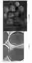 Fig. 03 - POLYMER COMPOSITION COMPRISING POLYOLEFINS AND AMPHIPHILIC BLOCK COPOLYMERS AND OPTIONALLY OTHER POLYMERS AND/OR FILLERS AND METHOD FOR DYING COMPOSITIONS OF THAT TYPE OR PRINTING THEREON