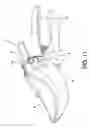 Fig. 08 - Adjustment device for manual cutting tools