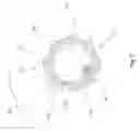 Fig. 08 - Noise-emitting lure