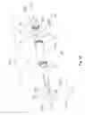 Fig. 13 - Noise-emitting lure