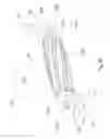 Fig. 16 - Noise-emitting lure