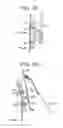 Fig. 12 - Vehicle rear door having division bar for guiding movable window