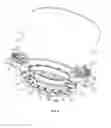 Fig. 02 - Filling machine provided with a cleaning device with a deformable membrane
