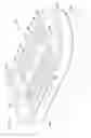 Fig. 10 - Filter elements; air cleaner; assembly; and, methods
