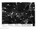 Fig. 01 - Fleece medium, it's manufacturing method and a filter element made of it