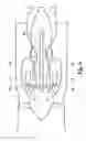 Fig. 07 - Gas turbine engine accessory system