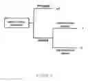 Fig. 03 - Method for detecting fungal contamination