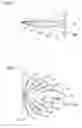 Fig. 04 - Ultrasonic flow measurement system and method