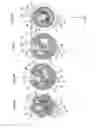 Fig. 46 - SHIFT MECHANISM, AND VEHICLE EQUIPPED THEREWITH