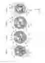 Fig. 50 - SHIFT MECHANISM, AND VEHICLE EQUIPPED THEREWITH