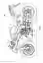 Fig. 53 - SHIFT MECHANISM, AND VEHICLE EQUIPPED THEREWITH