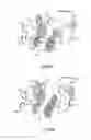 Fig. 55 - SHIFT MECHANISM, AND VEHICLE EQUIPPED THEREWITH