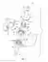 Fig. 02 - TORQUE LIMITING DRIVER