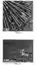 Fig. 06 - Stamp for micro contact printing and method for the production thereof