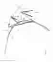 Fig. 02 - Device for suspending and moving an object or person