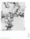 Fig. 02 - Dispersion of high surface area silica