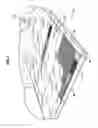Fig. 03 - Passenger ship with outer passageways provided with ventilation means